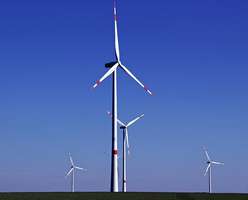 Potenzielle Windkraftnutzung auf Staatswaldflächen im Altdorfer Wald